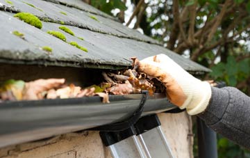 gutter cleaning Dol Fach, Powys