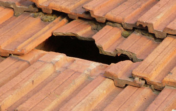 roof repair Dol Fach, Powys